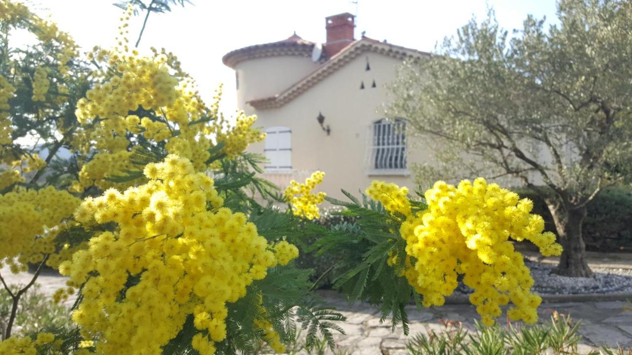 Hotel Le Relais Fleuri Alès Esterno foto