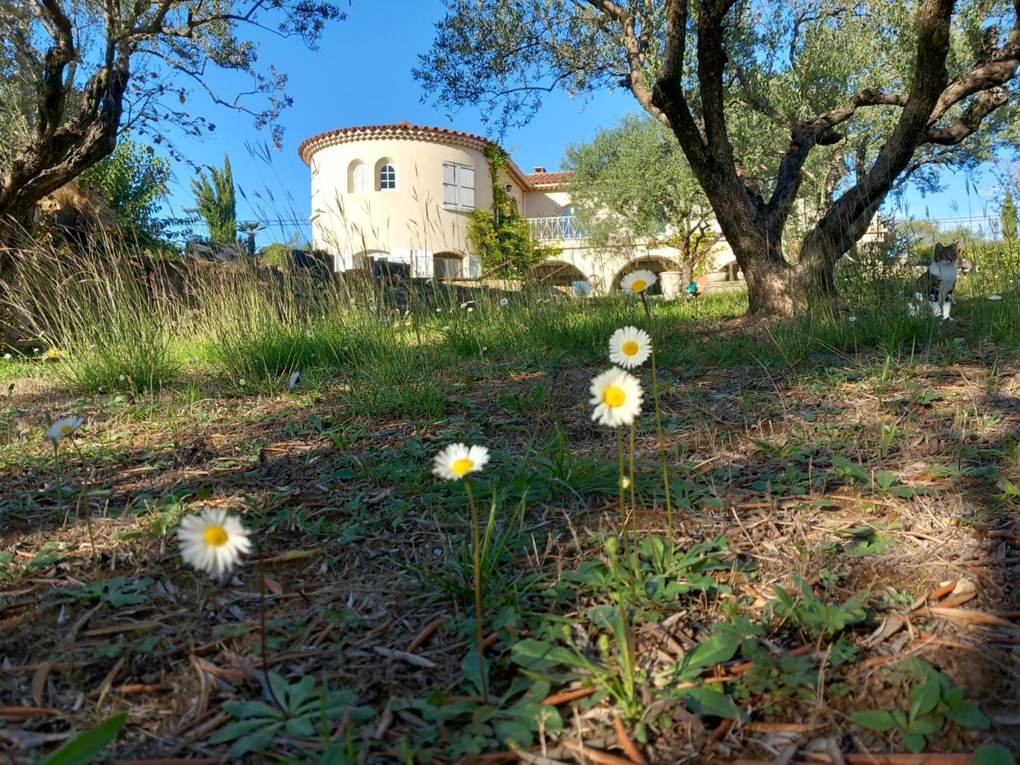 Hotel Le Relais Fleuri Alès Esterno foto
